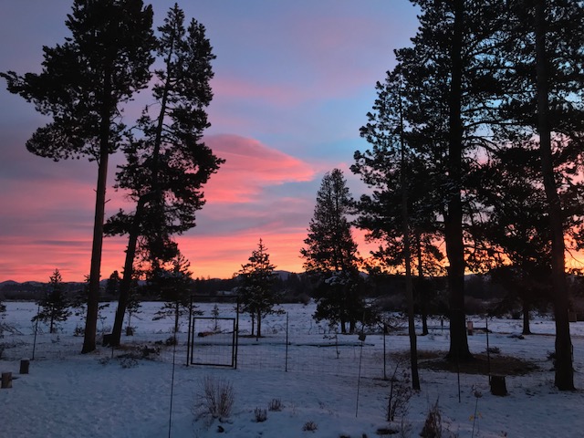 sunrise pink december 2019
