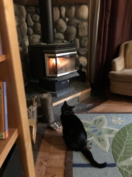 woodstove february 2020