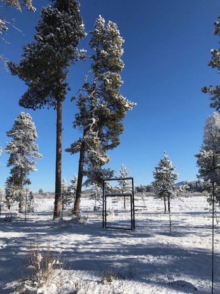 snow landscape january 2020