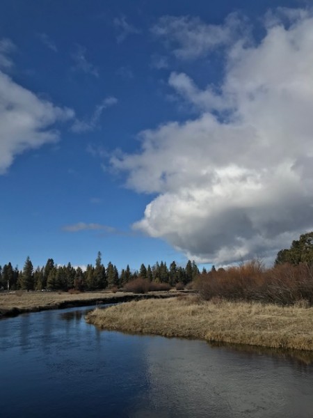 LIttle Deschutes River Feb 2020