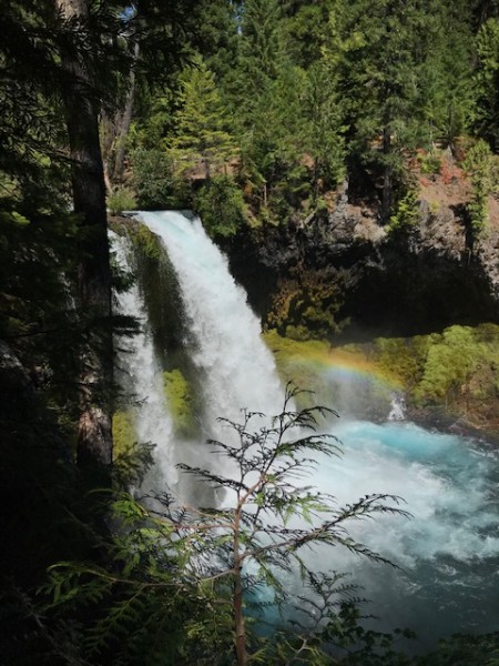 Koosah falls oregon august 2020