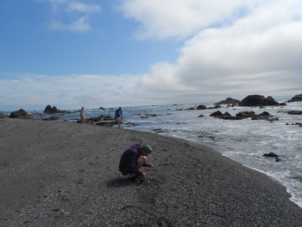 McVay Rock tidepools and rocks (7)