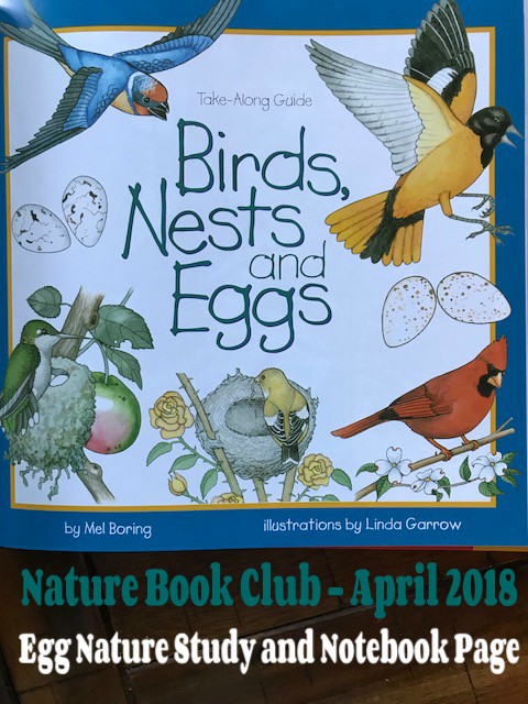 Nature Book Club Egg and Nest Study @handbookofnaturestudy