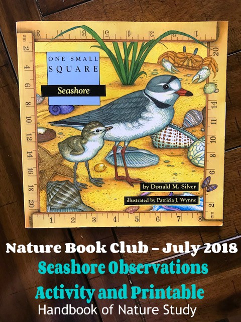 Nature Book Club Seashore Observations and Printable