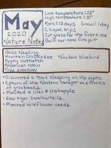 Nature Journal 2020 examples (5)