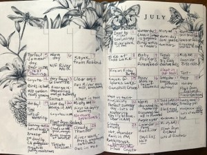 Nature Journal 2020 examples (6)