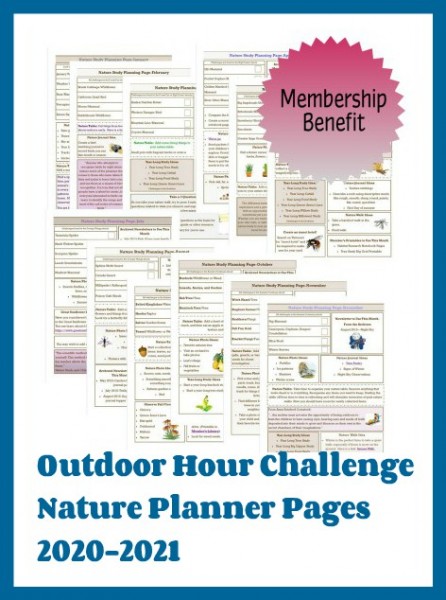 Nature Planner Graphic Button 2020 2021