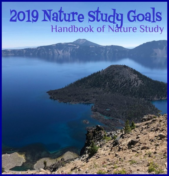 Nature Study Goals 2019 @handbookofnaturestudy