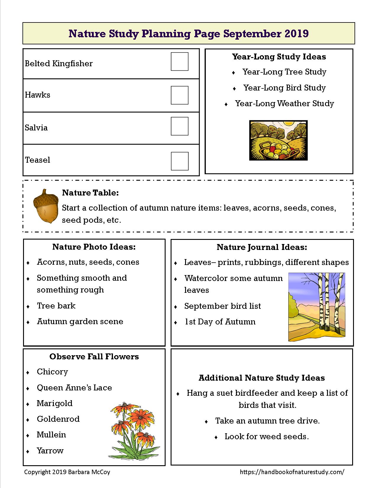 Nature Study Planning Page Sample