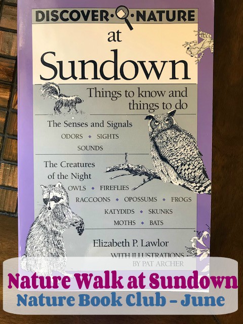 Nature Walk at Sundown @handbookofnaturestudy