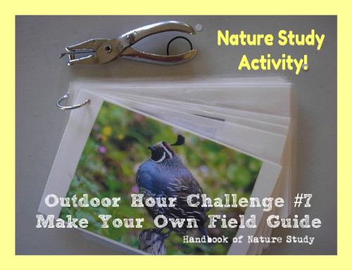 Outdoor Hour Challenge 7 field guide @handbookofnaturestudy