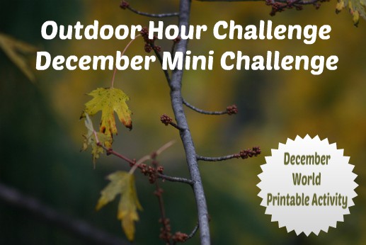 Outdoor Hour Challenge December Mini Challenge