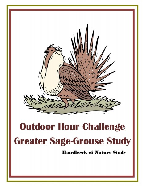 Outdoor Hour Challenge Greater Sage Grouse bird nature study