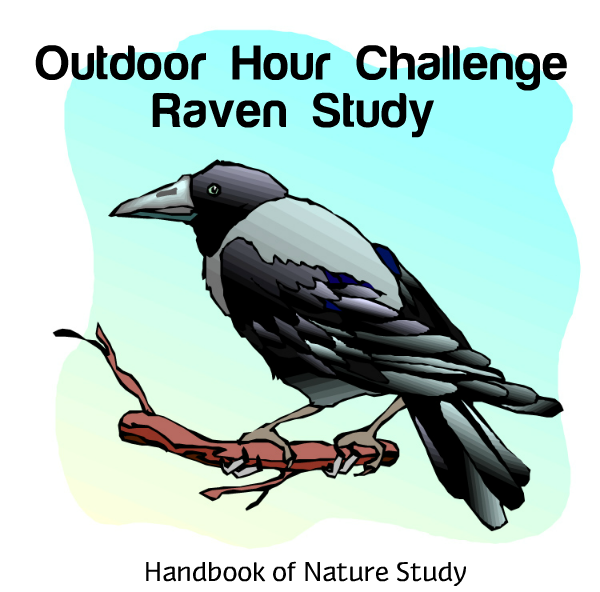 Outdoor Hour Challenge Raven Study