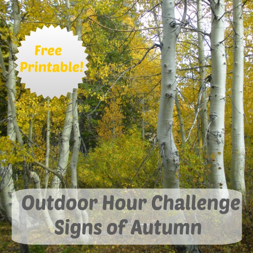 Outdoor Hour Challenge Signs of Autumn with printable @handbookofnaturestudy