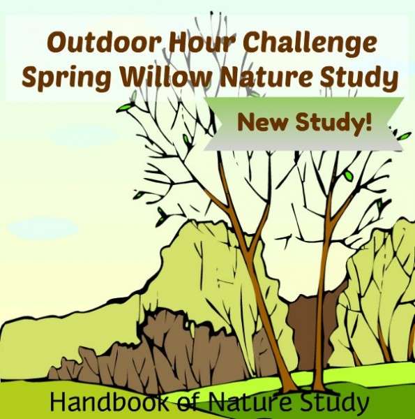 Outdoor Hour Challenge Spring Willow Nature Study