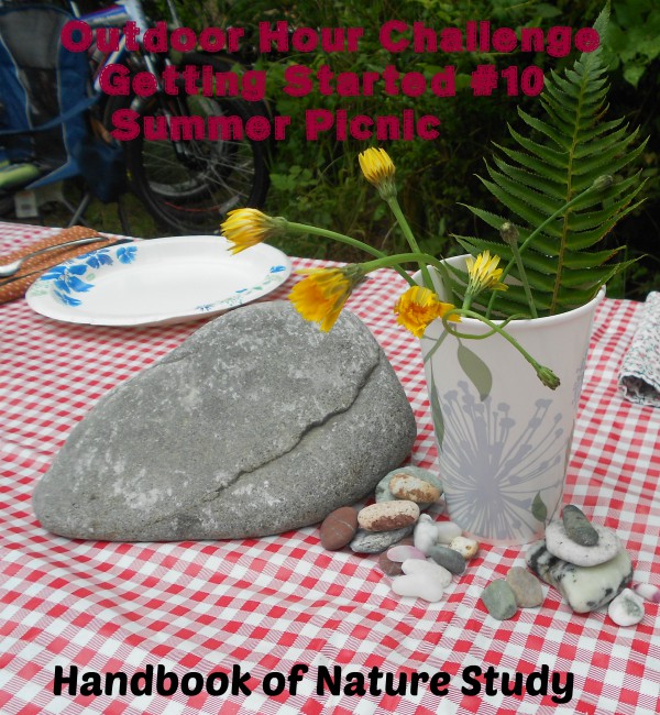 Outdoor Hour Challenge Summer Picnic @handbookofnaturestudy