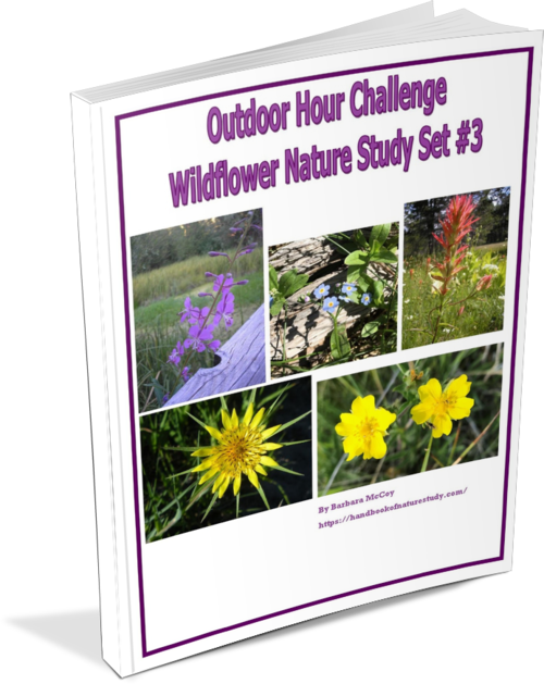 Outdoor Hour Challenge Wildflower 3 Covermaker
