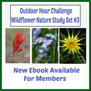 Outdoor Hour Challenge Wildflower Ebook 3 promo button
