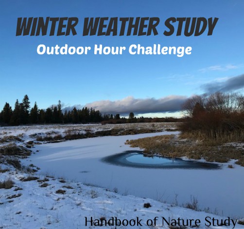 Outdoor Hour Challenge Winter Weather Study @handbookofnaturestudy