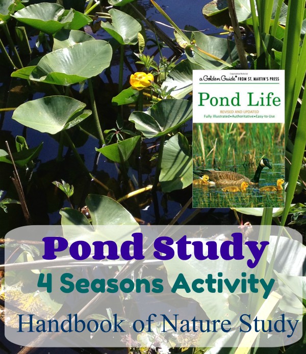 Pond Study Nature Club August 2018 @handbookofnaturestudy