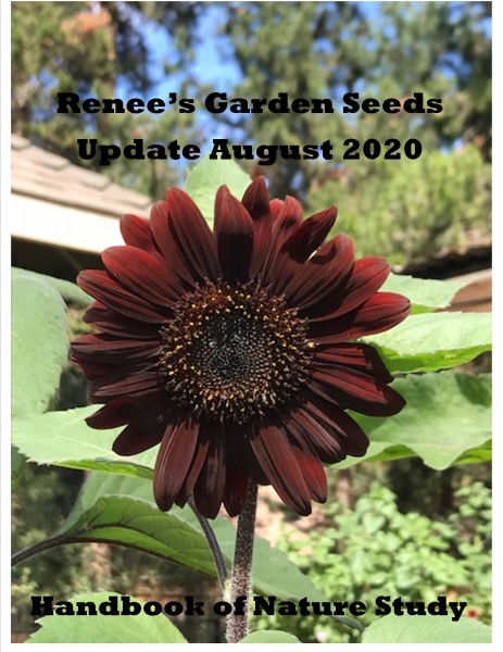 Renees garden seeds update 2020