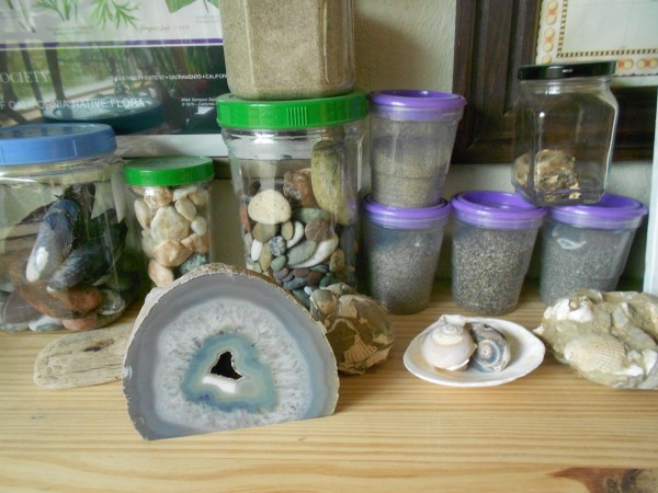 rock collection in jars