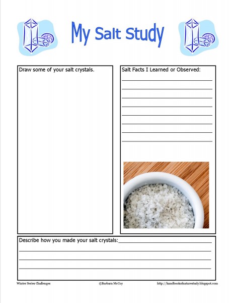 Salt Study Notebook Page image