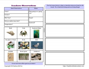Seashore Observations Notebook Page Activity