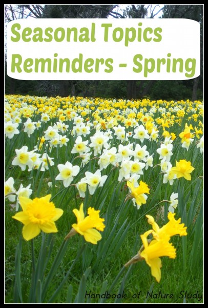 Seasonal Topics - Spring Reminders @handbookofnaturestudy