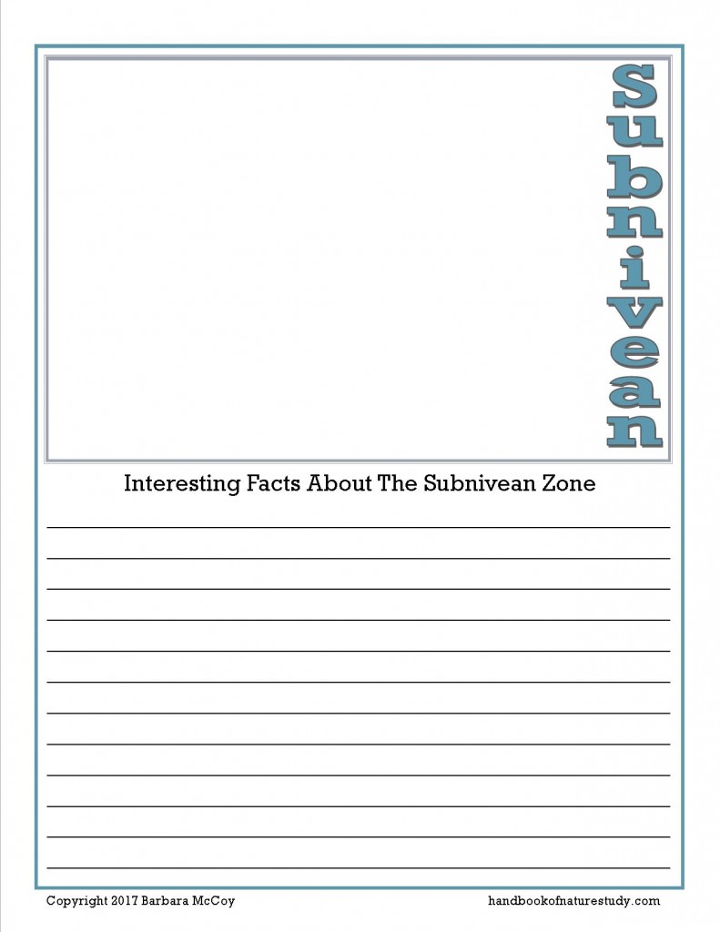 Subnivean Zone Notebook Pages