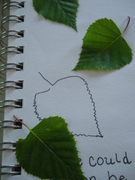 Trace a birch leaf nature journal (2)