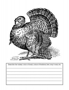 Turkey notebook page 1