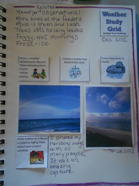Weather Grid Nature Journal (1)(1)