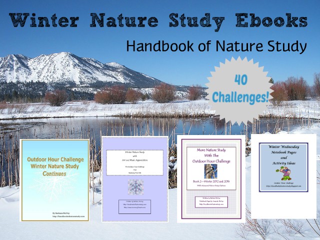 Winter Nature Study ebooks graphic and promo