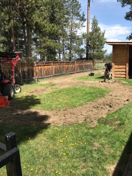 garden build oregon may 2020