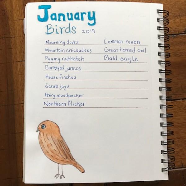 nature journal examples (3) january bird list
