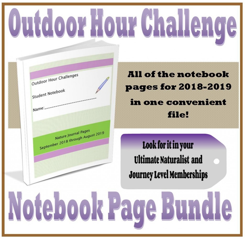 nb bundle 1