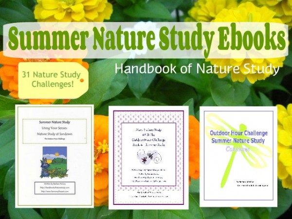 summer nature study ebooks button