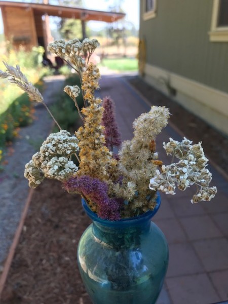 weed bouquet wildflowers autumn outdoor hour challenge (2)