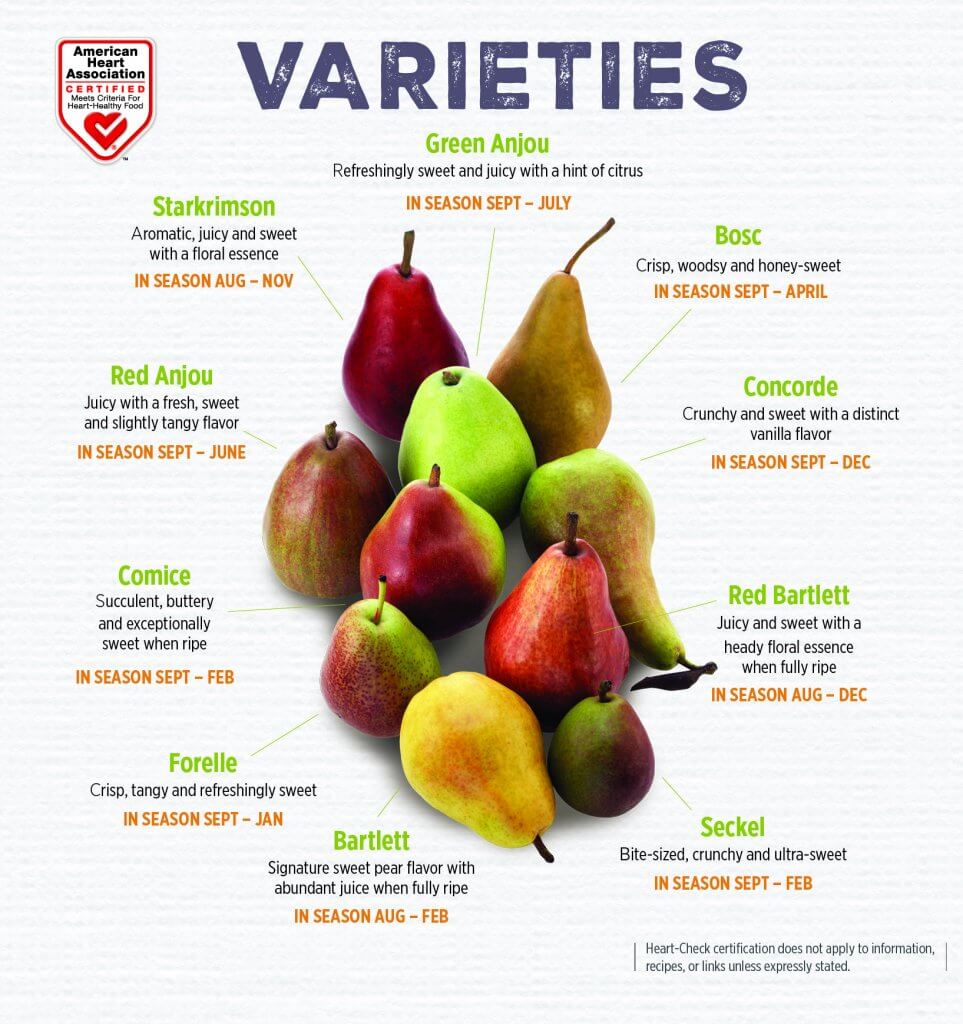 This autumn, enjoy this pear study and fun facts. Members can download the Fruits and Vegetables Sorting Worksheet.