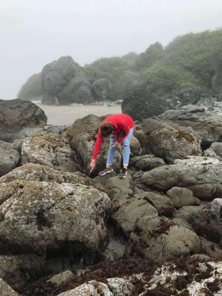 tide pools brookings 2021