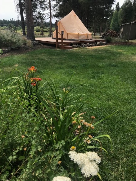 tent in the garden 2021