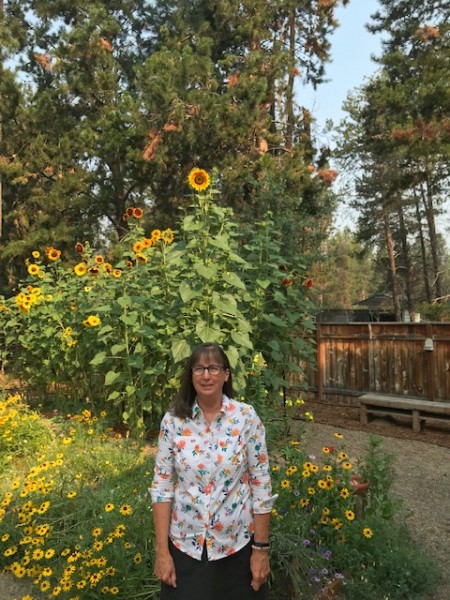 sunflower garden 2021