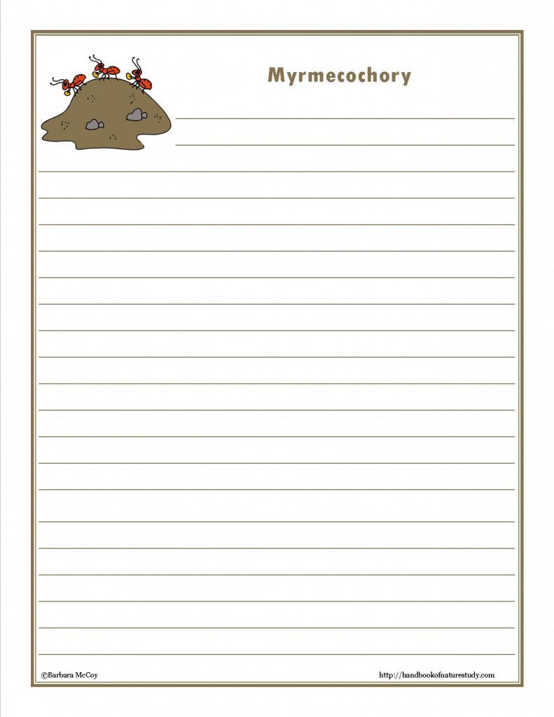 Myrmecochory Notebook Page