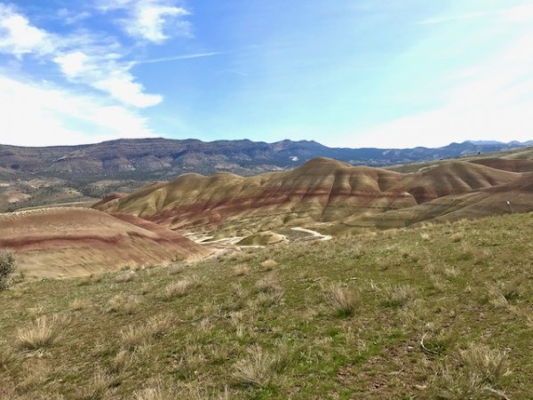 Painted Hills March 2021