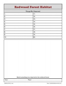 Redwood Forest Habitat Notebook Page