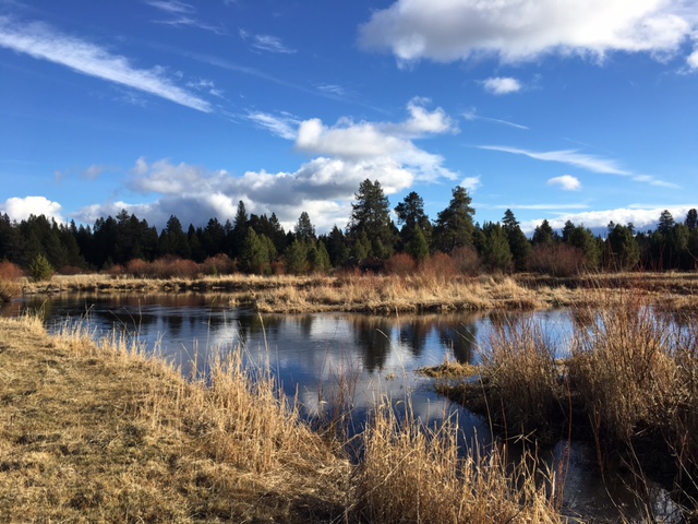 Our Central Oregon November World - Homeschool Nature Study