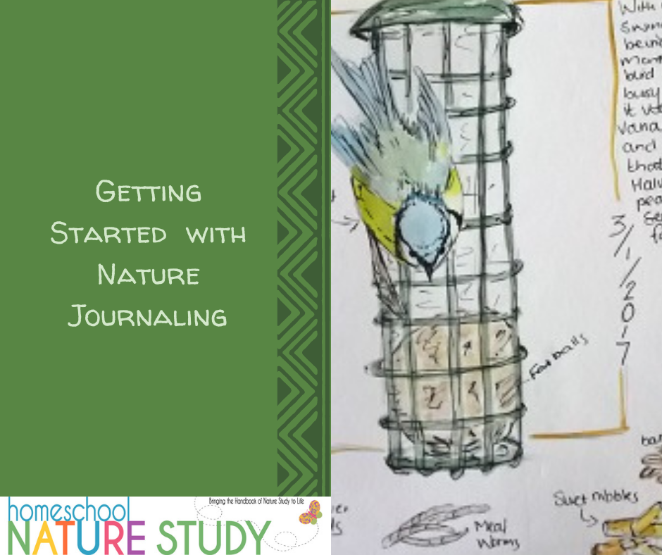 Getting Started with Nature Journaling image of nature journal