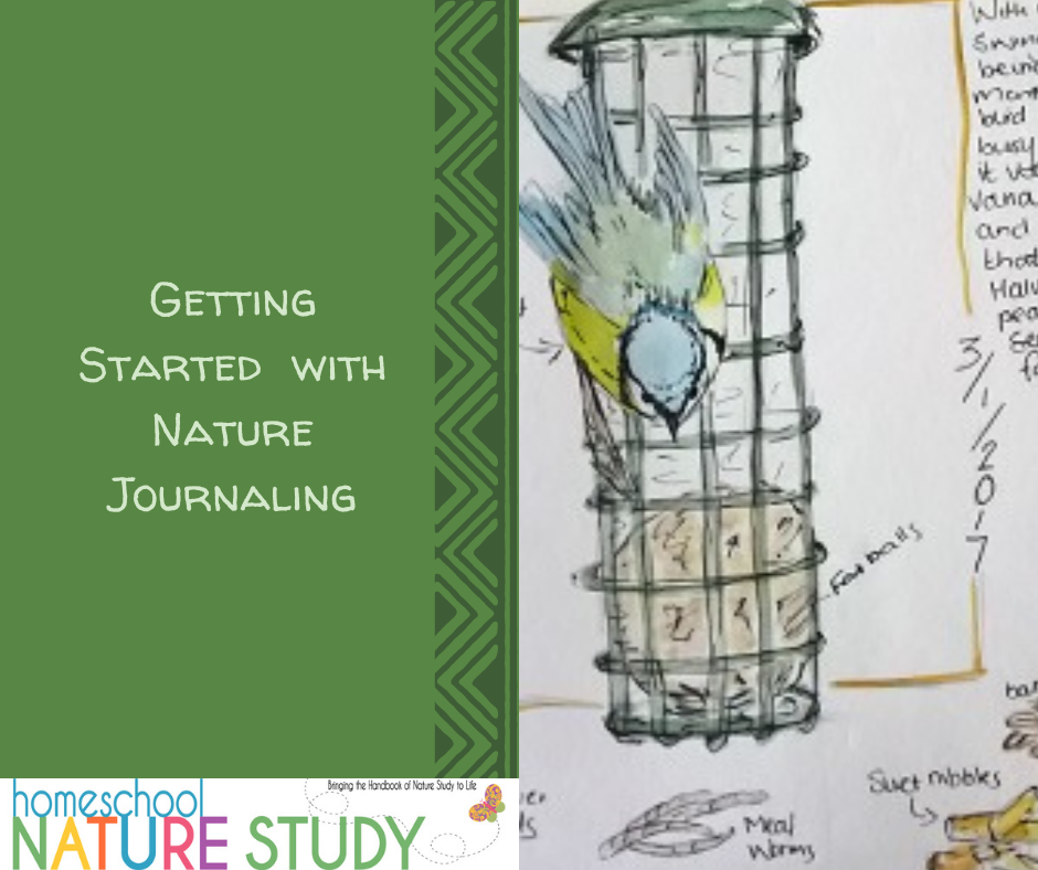 Nature Journal for Kids Nature Study Journal Outdoor Journal Charlotte  Mason Journal Forest School 